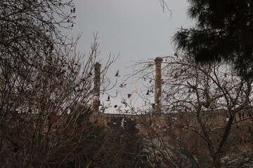 Fototapete bei efototapeten.de bestellen   