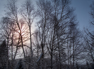 Winter landsacape on the countryside