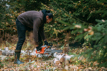 A man is sawing a tree with a chainsaw. A young guy works in a pine forest