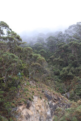 view from the mountain