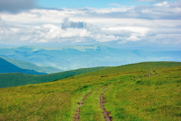 Fototapeta na wymiar path through mountain meadow. beautiful carpathian landscape in summertime. clouds on the sky above the distant ridge. windy weather