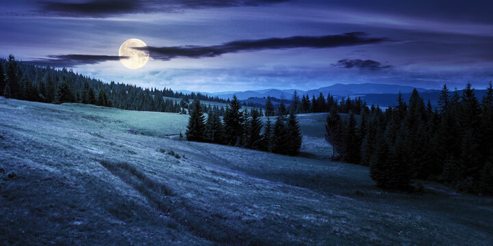 coniferous forests in mountains at night. summer landscape with grass on the hills. nature scenery in full moon light with clouds on the sky