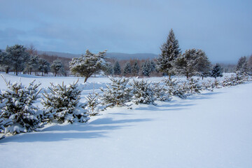 Winter landsacape on the countryside
