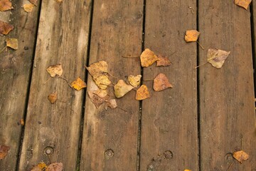 background of wooden planks in brown with dry leaves