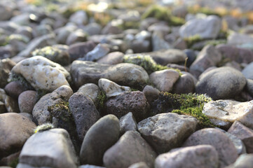 Fototapeta na wymiar moss and pebbles