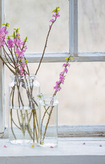 spring flowers in jars on old white windowsill