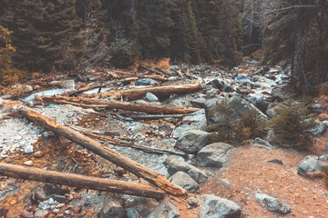 View of a mountain river with a cascading waterfall. Green forest and fallen trees