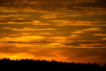 Fototapeta premium golden sky in the rays of the setting sun