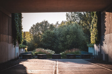 autumn in the park