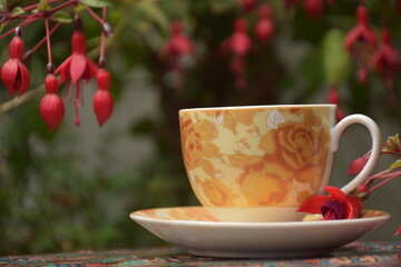 Cup of tea in the nature 