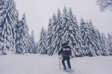 walking in the snow