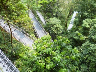 Plakat Mount Faber trail 