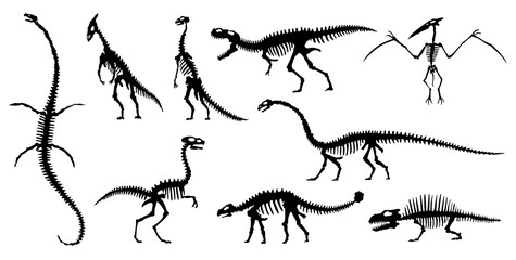Collection silhouettes of dinosaurs skeletons. hand drawn dino skeletons. Dinosaurs bones, exhibit fossils in the museum. Sketch set Velociraptor, Diplodocus, Parasaurolophus etc