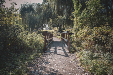 wooden bridge in spring
