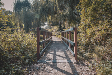 wooden bridge in spring