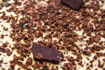 Typical Italian dessert with coffee, mascarpone and chocolate, tiramisu