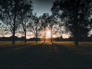 sunset in the park