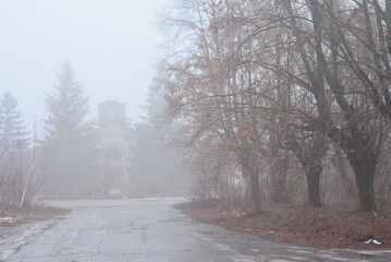 The spring fog covered the ground, trees, buildings with its wing.