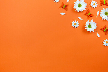 Spring flat lay background with white flowers and butterflies on colorful orange background....