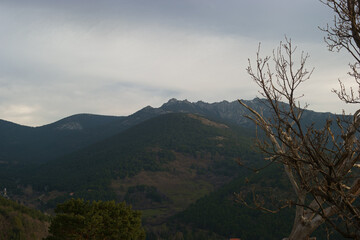 krajobraz góry drzewa las niebo chmury