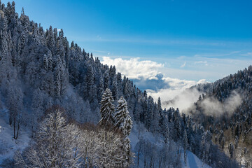 Beautiful snow landscape of snowy trees and mountains of Roza Khutor ski resort. South part of resort with sunny weather. Sochi, Russia. © umike_foto