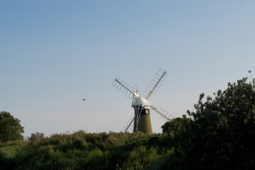 A rear view of a windmill (wind pump): tall traditional countryside building, surrounded by trees and bushes, with a bird in flight