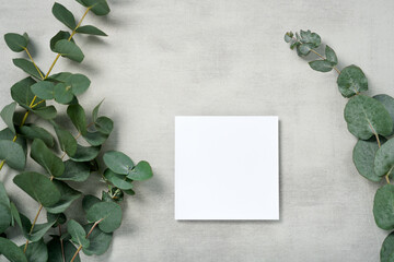 Real photo. square invitation card mockup with a eucalyptus branch. Top view with copy space, light...
