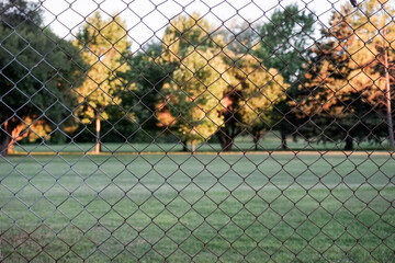 Vista de un parque arbolado a través de un cerco