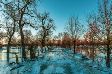 Frozen fields after flooding in Düsseldorf, Germany.