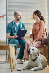 Vertical full length portrait of white Labrador dog waiting at vet clinic with young woman talking...