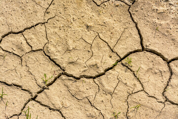 Background of heat cracked clay soil.