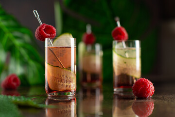Set of cocktails in shot glasses with cucumber,berry liqueur and raspberries on dark background with reflection and palm leaves.Recipe,bar menu.Close up,selective focus.