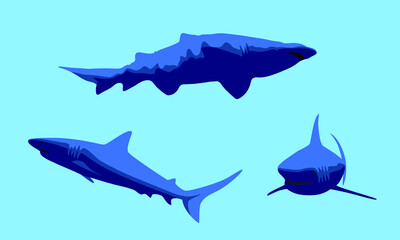 Cartoon sharks. Swimming calm ocean sharks. Big dangerous sea predators. A picture of marine wildlife. vector graphics.