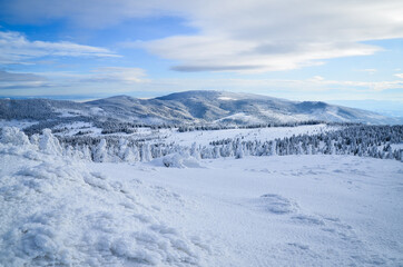 Fototapeta premium winter mountain landscape