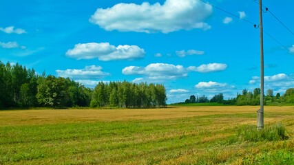 summer field on the background of a blue sky with clouds,in the background a forest