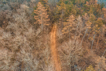 Hungary - Road into the forest from drone view