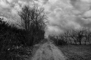 Country Road in winter