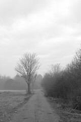 Country Road in winter
