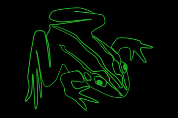 Glowing neon green lines Frog icon isolated on black background