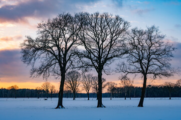 beautiful sunset over a dutch snow covered field