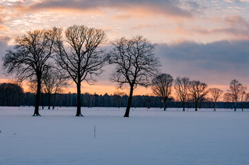 beautiful sunset over a dutch snow covered field