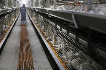 Fototapeta premium The workers are loading feed in a processing plant.