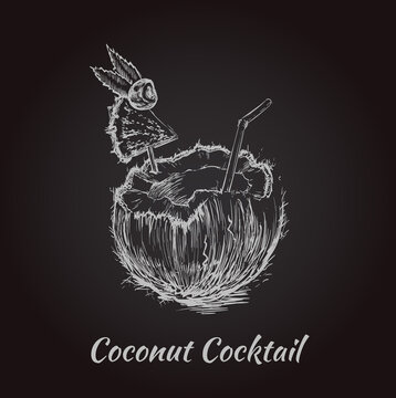 Coconut Cocktail Drink. Hand Drawn Vector Illustration