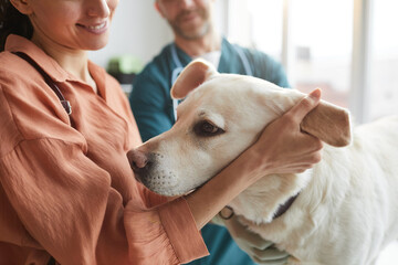 Close up of smiling female doctor stroking pet dog during examination at vet clinic, copy space