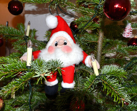 Gnome On The Christmas Tree