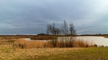 walk around national forest in england, city moira ,hicks lodge