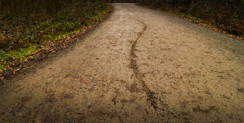 walk around national forest in england, city moira ,hicks lodge