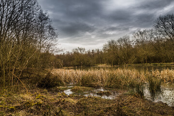 walk around national forest in england, city moira ,hicks lodge