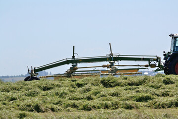 Rotary Swather With The Haymaking
