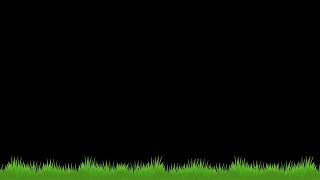 Spring grass sways in the wind. Animation of green grass. Vector Grass with Transparent background, alpha channel swaying in the wind. Seamless loop.